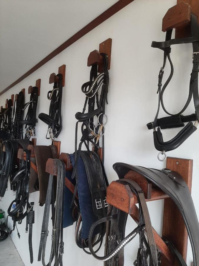 'T Wolthoes Vlagtwedde Kültér fotó